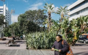 Panuku is set to spend just $7 million in 2020/2021 in south Auckland due to cutbacks, one councillor said.
