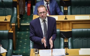 Labour MP Andrew Little debating in the House