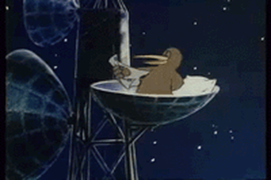 a gif of the Goodnight Kiwi animation