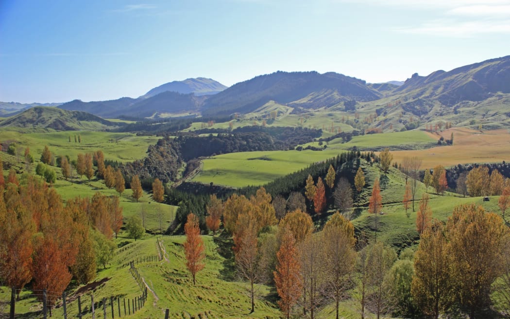 A farm filled with native and exotic trees.
