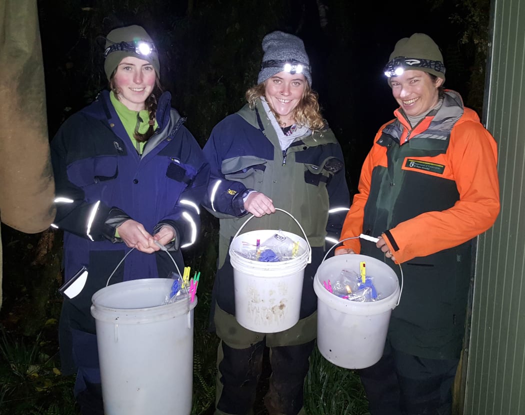 Leigh Roderick, Gabby Keating and Abi Quinnell, at two o'clock in the morning, about to return 40 frogs (in plastic bags in the buckets) to the exact spot they were collected from.