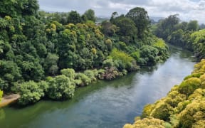 Victoria Bridge from where a person was seen in the Waikato River on 28 January 2025.