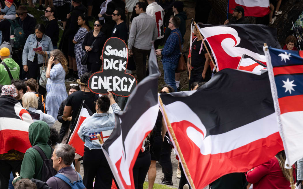 The hikoi against the Principles of the Treaty of Waitangi Bill reaches Parliament.