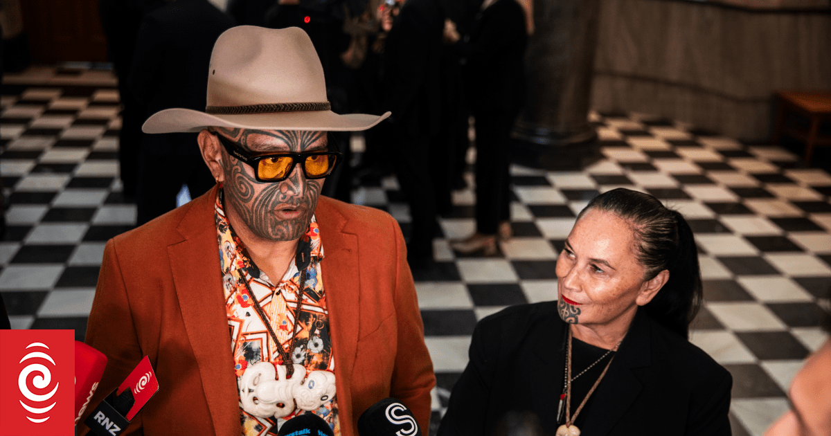 Te Pāti Māori 'high performing' despite dismal poll result - co-leaders