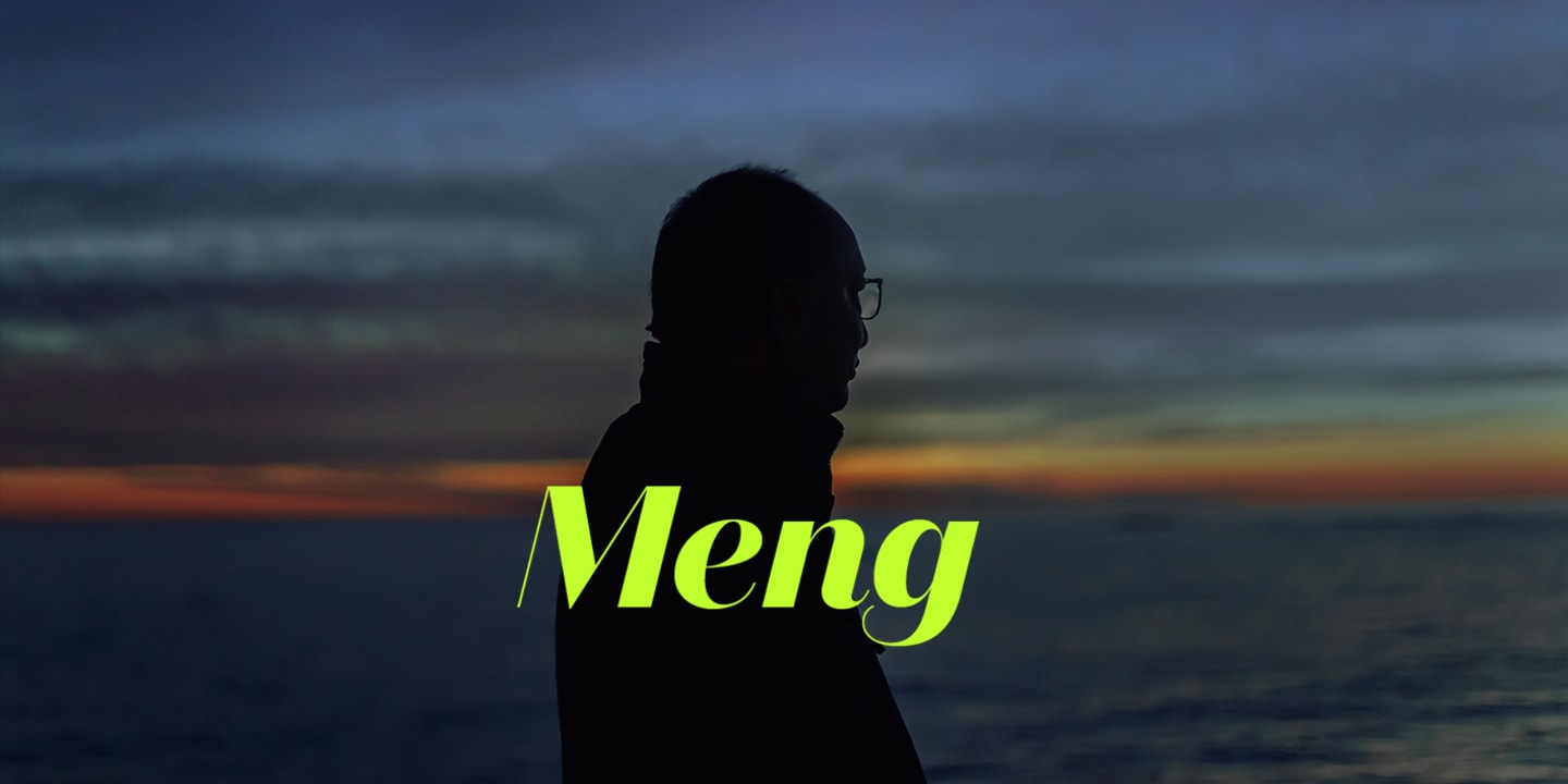 Graphic for Meng