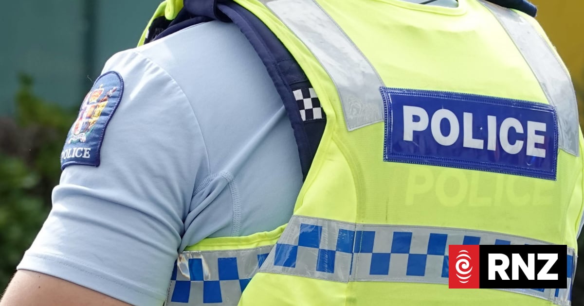 Police appeal after woman assaulted while putting rubbish out in Wellington