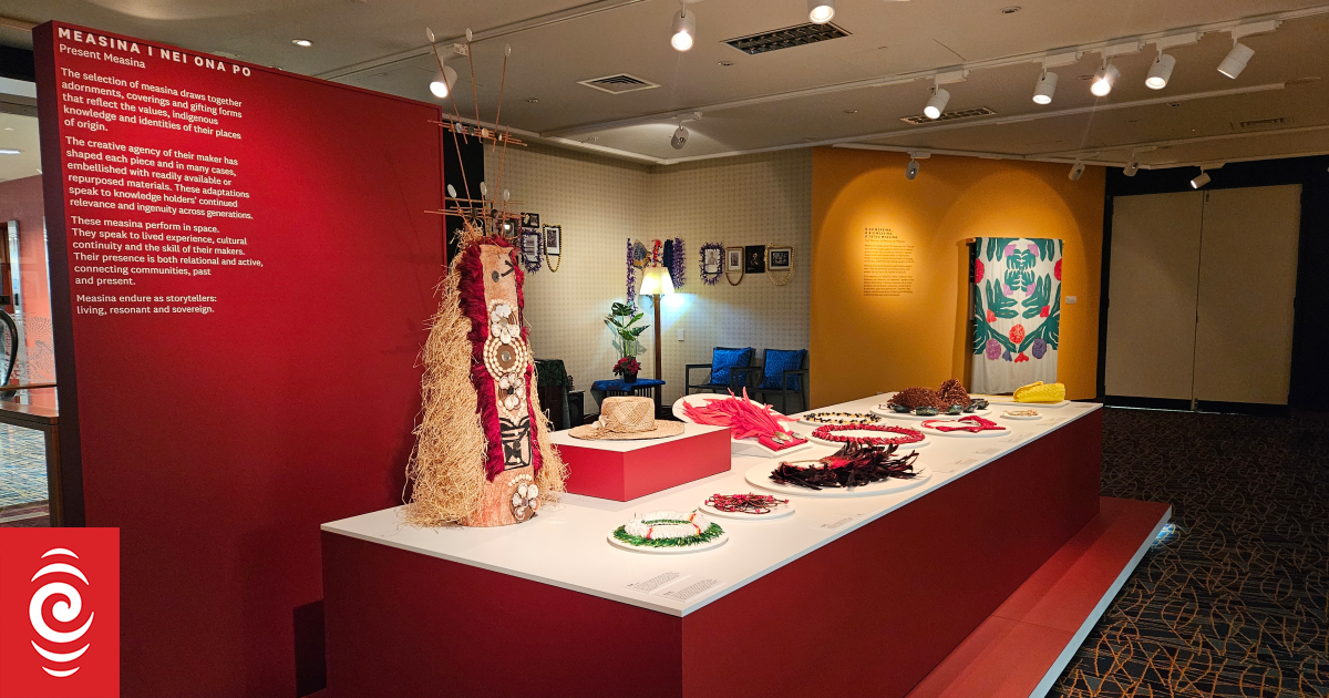 Auckland Libraries unveils Lupe I Vao Ese