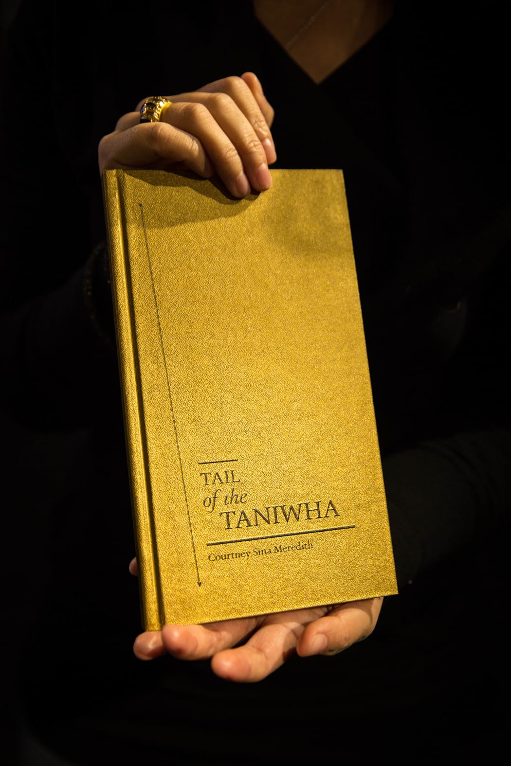 Courtney Sina Meredith's book, Tail of teh Taniwha.