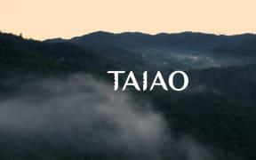 Taiao / Someday Stories 5 - 04