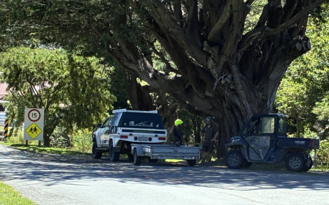Scene near helicopter crash in Wellington region