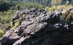 A magnesite outcrop in the Cobb Valley.