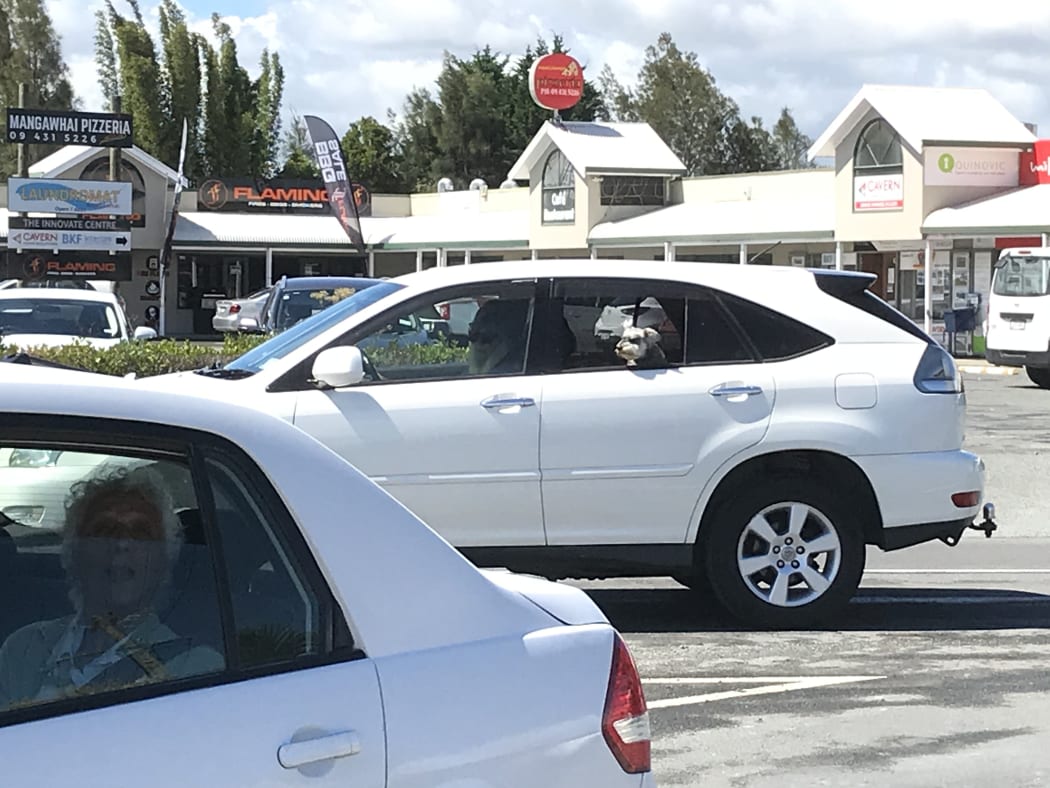 Fast-growing Mangawhai is just 90km from Auckland's northern boundary.