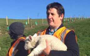 Spring Sheep Milk chief executive Scottie Chapman