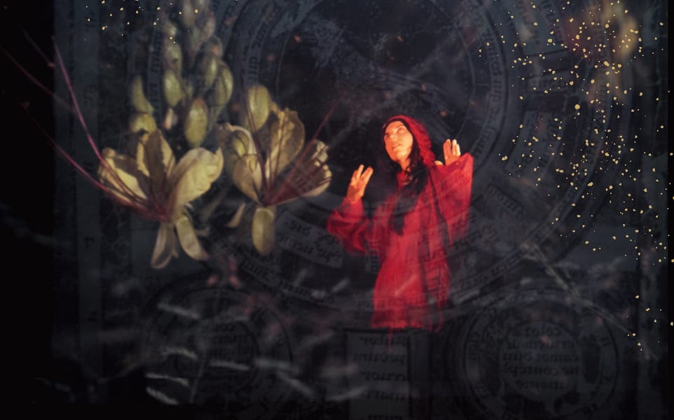 Julia Holter - Aviary, cover image