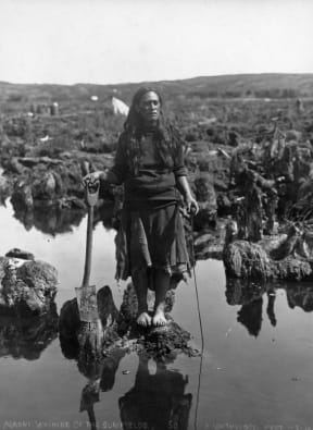 Woman with shovel and gum spear 1 August 1914