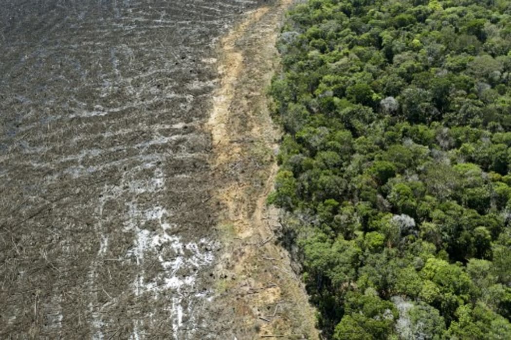 Aerial picture of a deforested area close to Sinop, Mato Grosso State, Brazil