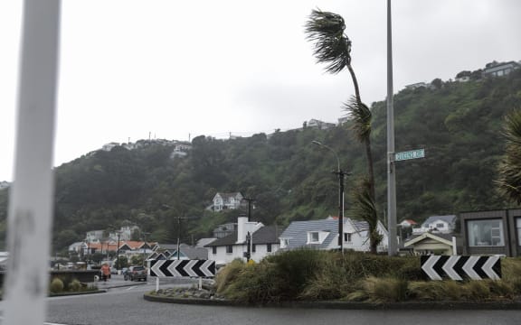 Strong winds batter Wellington on 2 October, 2023.