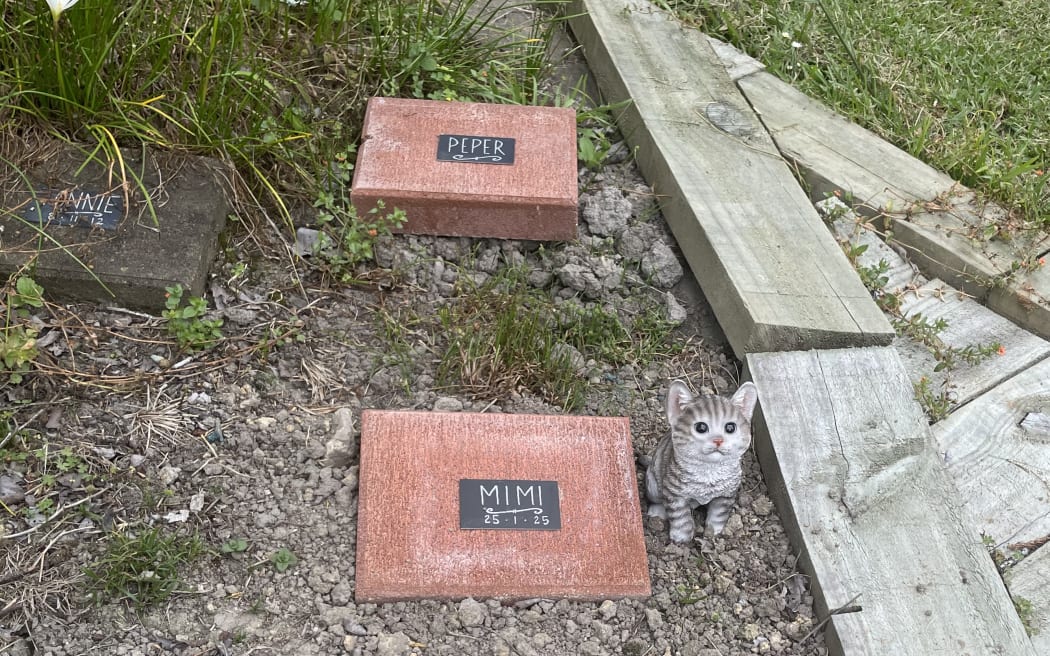 Graves at Albany pet cemetery.