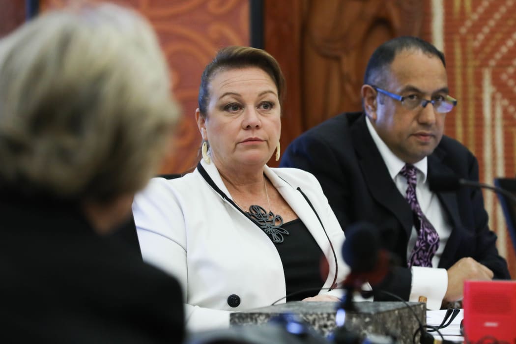 New Zealand First MP Jenny Marcroft on the Maori Affairs Select Committee