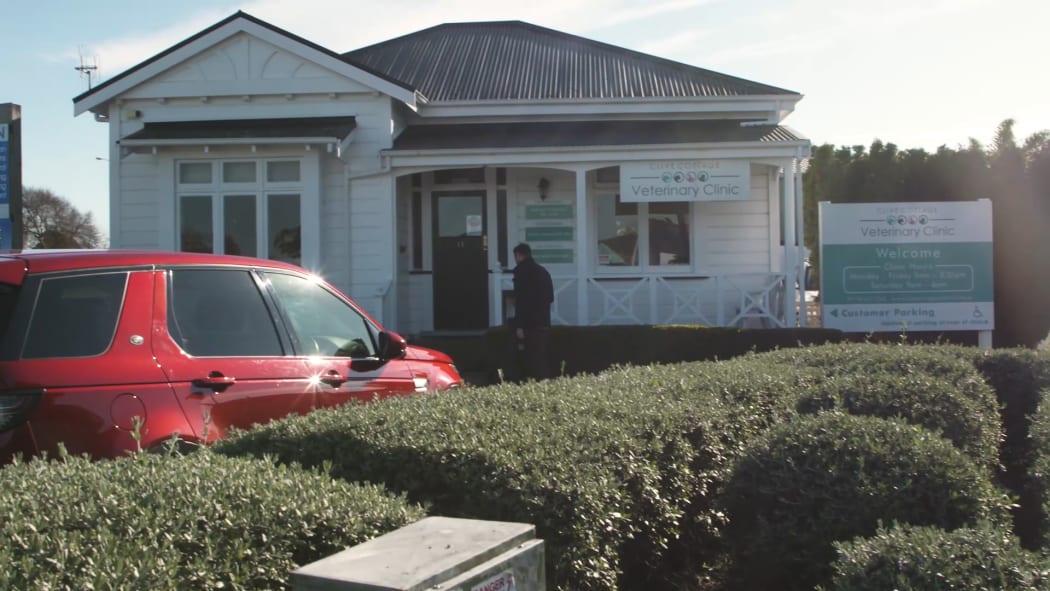 Clive Cottage Vet Clinic in Hawke's Bay.