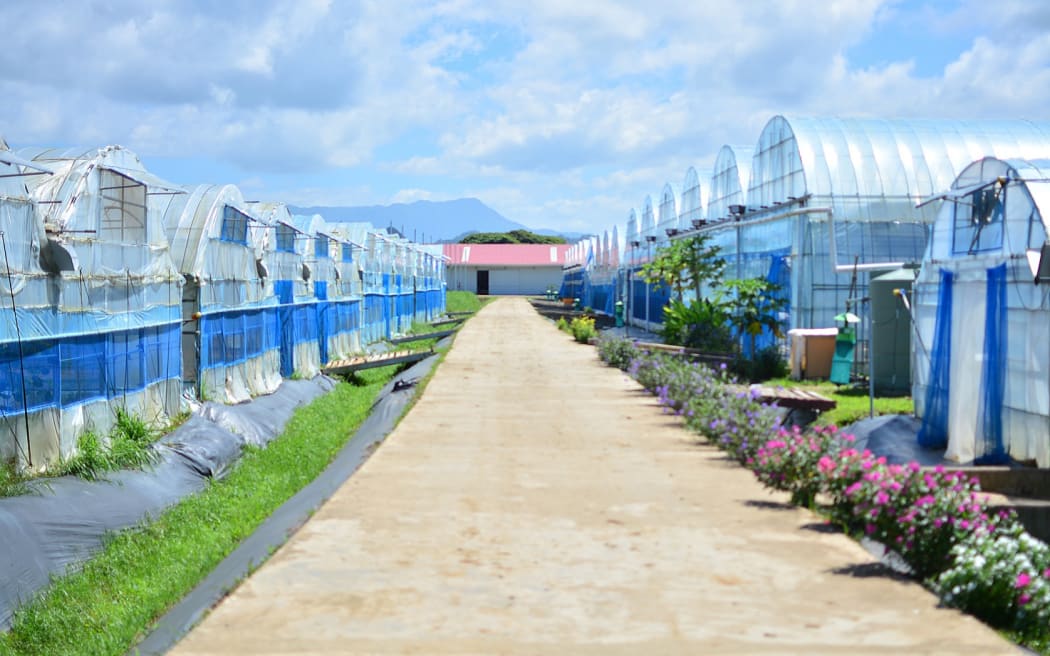 Greenhouses at the Grace Road Group farm in Navua, Fiji.