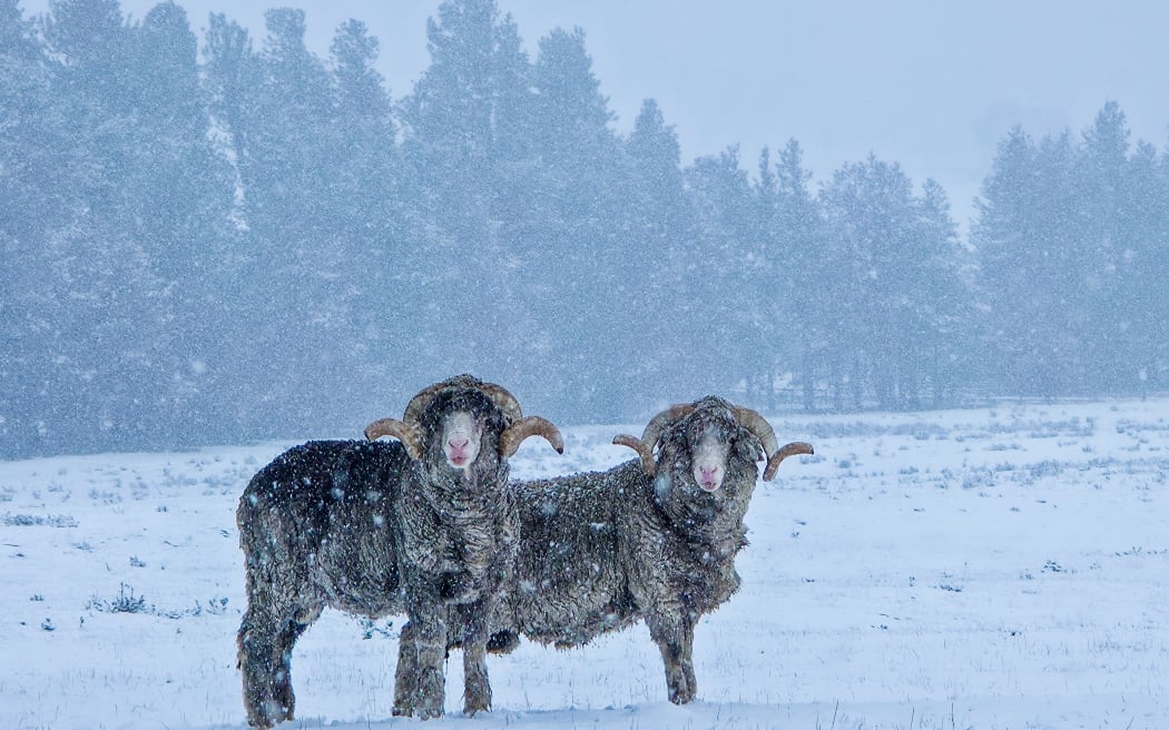Lake Clearwater under heavy snow