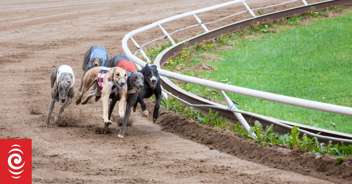 Greyhound racing industry withdraws judicial review of ban