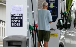 Torbay Gull where 91 and 95 are out of stock