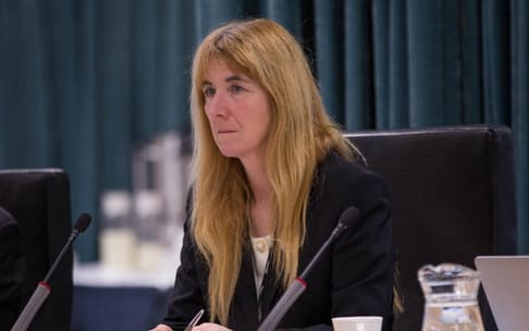 Cathy Casey at a Council meeting about the Unitary Plan. 10 August 2016.