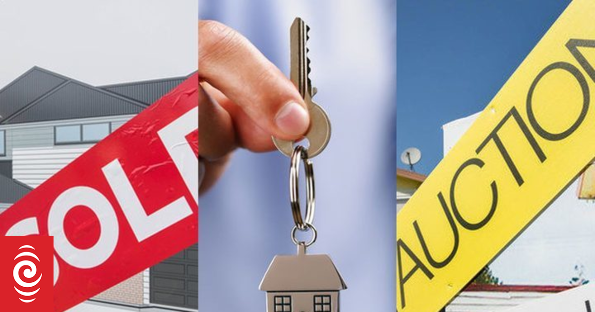 Confidence returning to property market, REINZ says