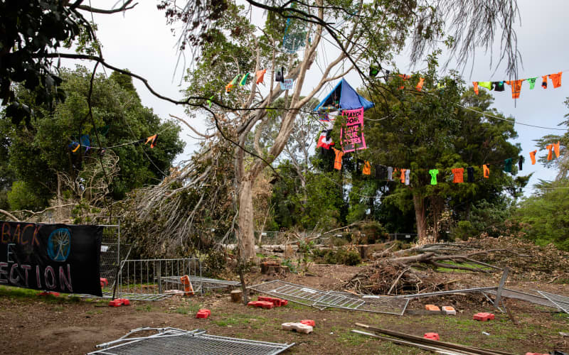 Canal Road tree protesters escape convictions in Auckland District ...