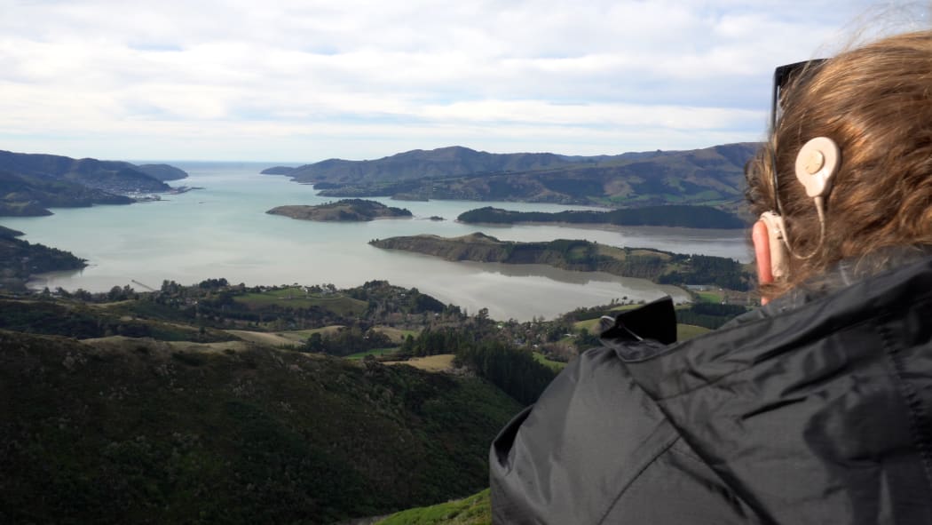 Rachel Berry sits looking out over Banks Peninsula.