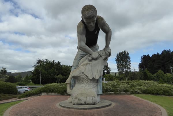 The statue of a man shearing a sheep in Te Kūiti, Waitomo District.
