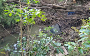 Healthy Waters says the section of Swanson Stream behind Joe Young's house had had regular maintenance.