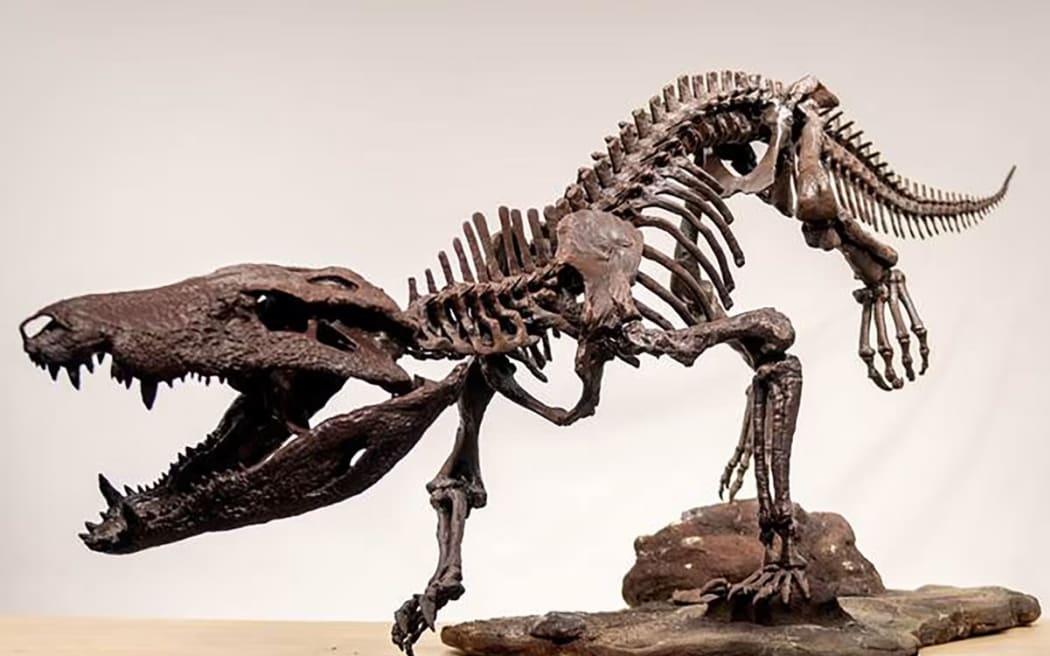 Kostensuchus atrox - ancient relative of modern alligators and crocodiles - single use only