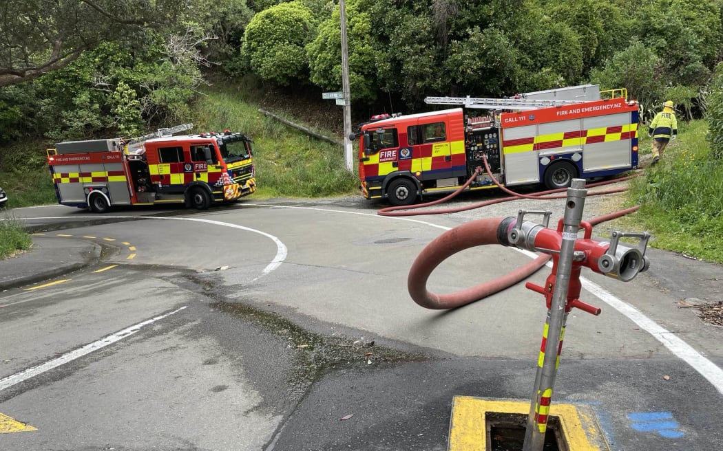 Wellington firefighters are working to extinguish a blaze in a bushy area of Mount Cook.