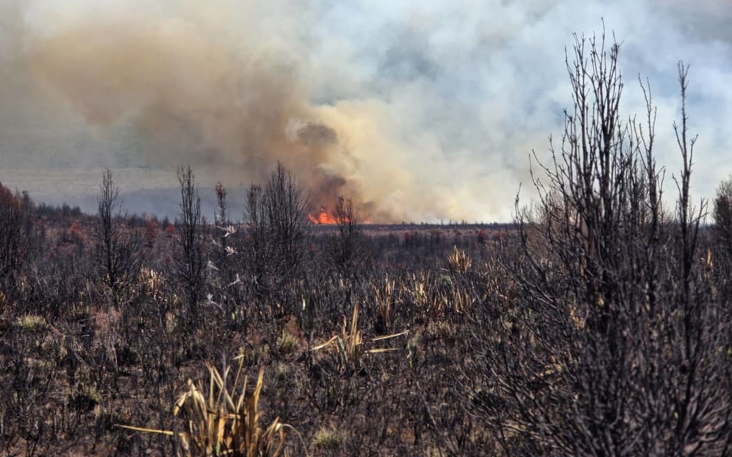 Firefighters are battling multiple blazes in Tongariro National Park on Monday.