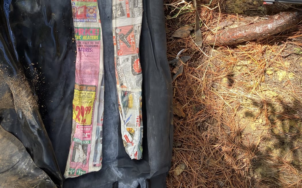Metal detectorist finds guns in Wellington
