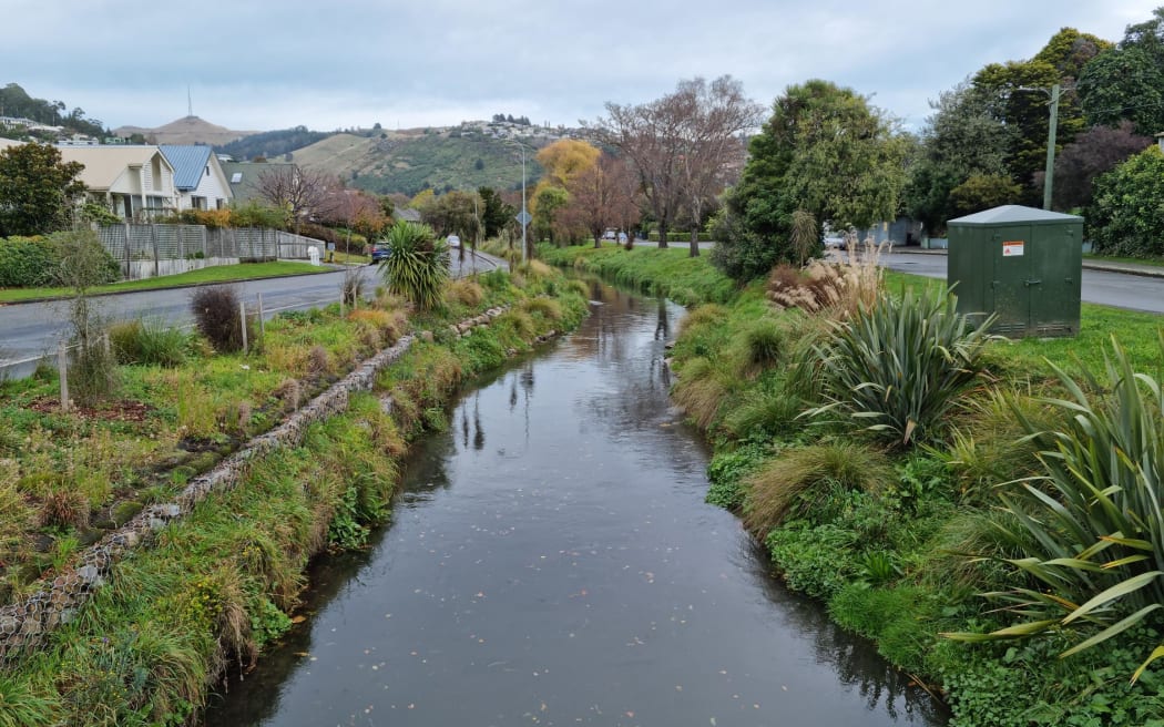 Ōpāwaho Heathcote River from a footbridge in Beckenham.