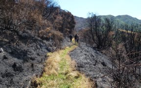 Port Hills fire damage:Ohinetahi Bush Reserve
