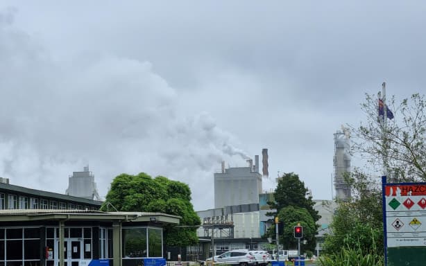 Closure of Toi Ohomai's Tokoroa campus will 'condemn another generation ...