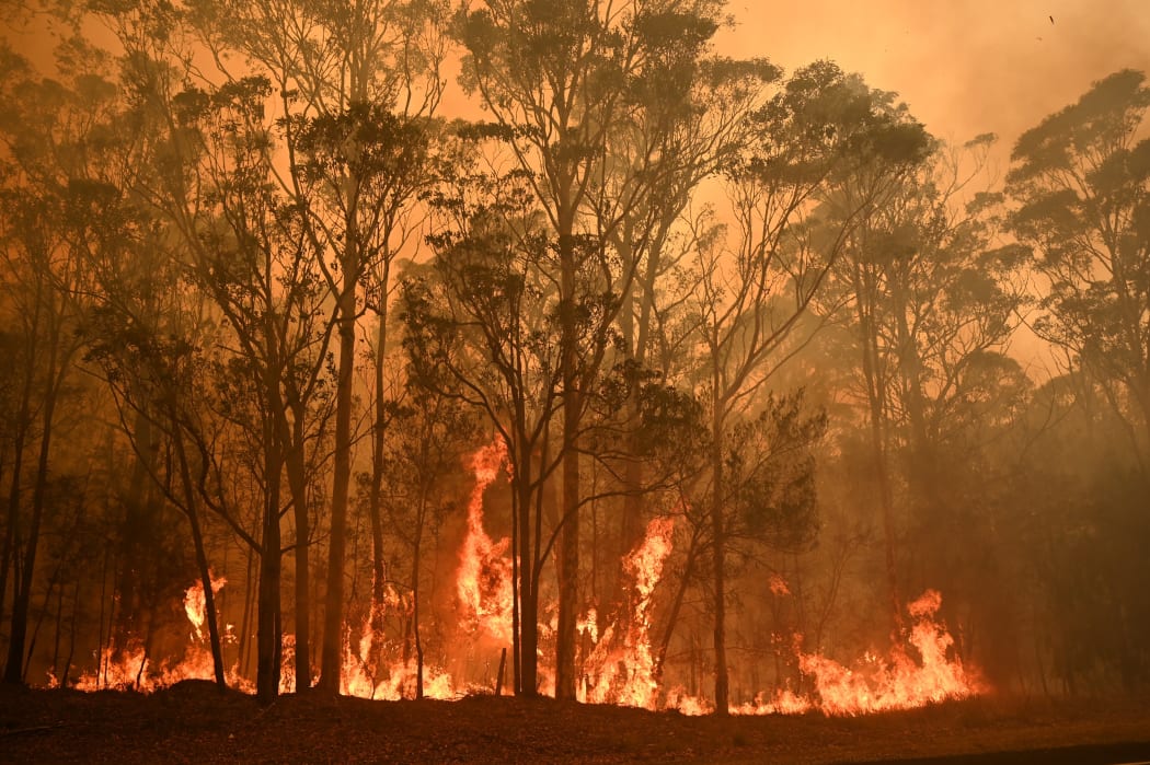 A bushfire burns in the town of Moruya, south of Batemans Bay, in New South Wales on January 4, 2020.