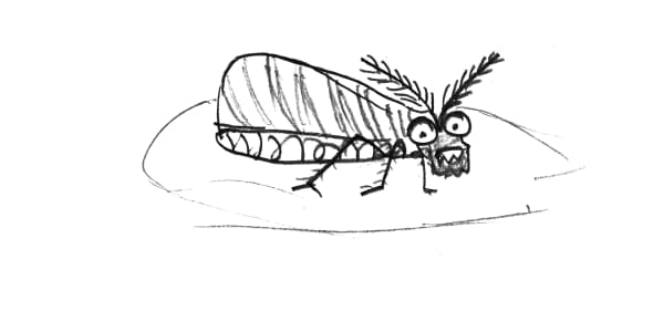 Wellington illustrator Sarah Maxey worked from drawings by  Jo Randerson's kids and their friends for the book Secret Art Powers.