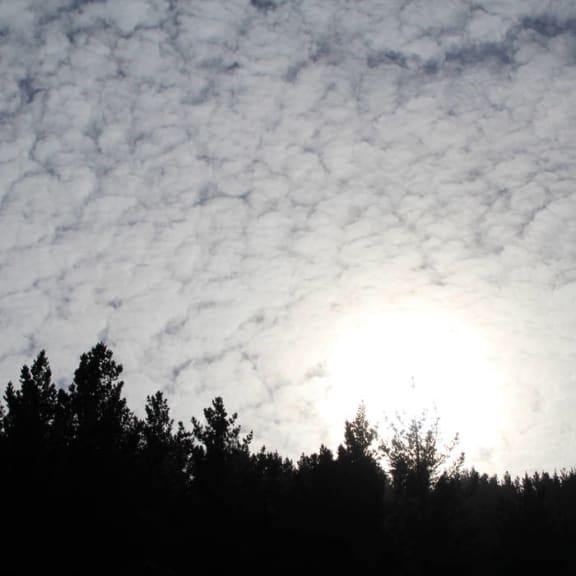 Motte - Hobart Improvisations