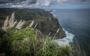 West Auckland Mercer Bay cliff area in the ongoing search for Kim Bambus.
Waitemata Detective Inspector Hayden Mander said searchers will scour the cliff area.
Ahu Ahu Track (Mercer Bay loop track) near Auckland's west coast beach of Piha.