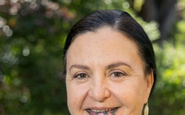 Te Rōpū Whakakaupapa Urutā-the National Māori Pandemic Group co-lead, Papaarangi Reid.
