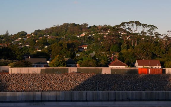 For 60 years the mountain on my horizon: Owairaka-Mt Albert