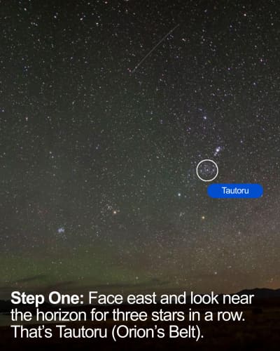 A visual guide for how to find the stars of Matariki.