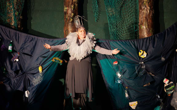 Summer Shakespeare in Wellington