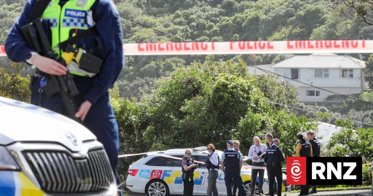 What the government's firearms act reform proposals will change - and ...